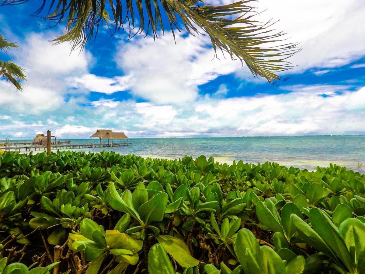 Punta Me Beach Suites Cancun Exterior photo